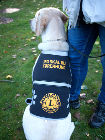 Besøk på Lions førerhundskole, Oslo 2024